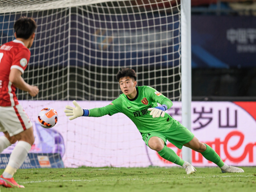 不仅代表了 不仅代表了